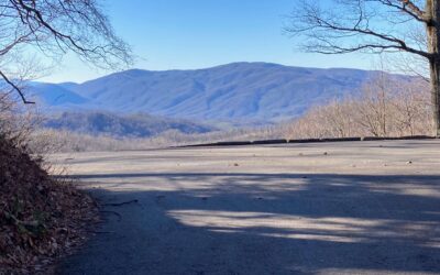 What is TN Outdoor Guides?